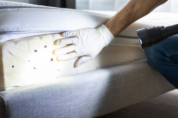 Professional Pest Control in Ottawa, KS