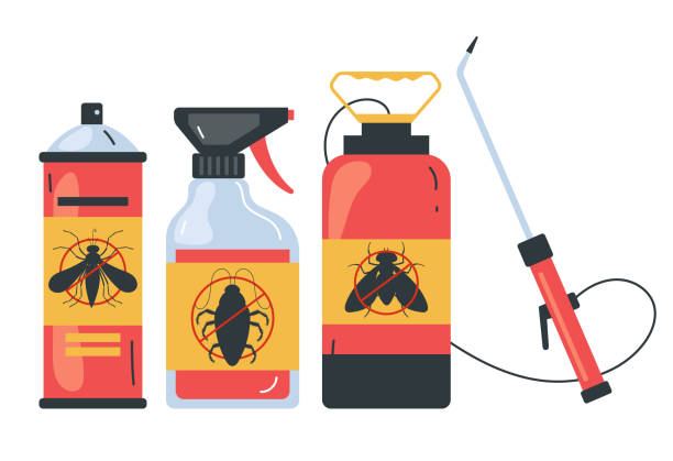 Wasp Removal Services in Ottawa, KS