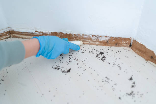 Best Pest Inspection Near Me  in Ottawa, KS