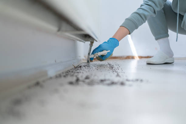 Best Pest Control Treatment  in Ottawa, KS