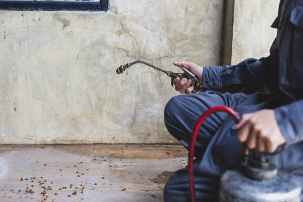 Best Mosquito Control Services  in Ottawa, KS
